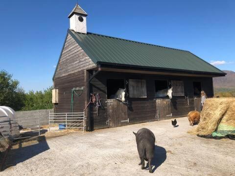 Heatherhill Farm Cottage In Letterfrack Beside Connemara National Park Ngoại thất bức ảnh